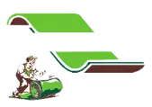 website1